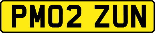 PM02ZUN
