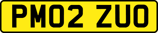 PM02ZUO