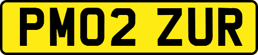 PM02ZUR
