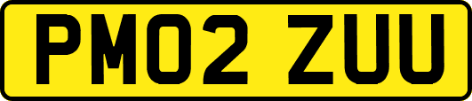 PM02ZUU