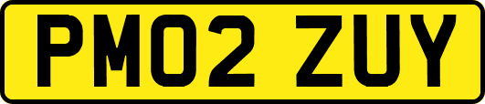 PM02ZUY