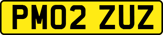PM02ZUZ