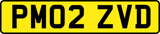 PM02ZVD