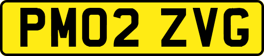 PM02ZVG