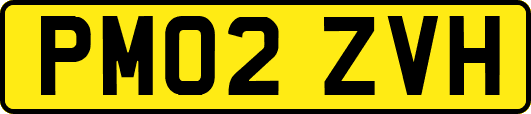 PM02ZVH