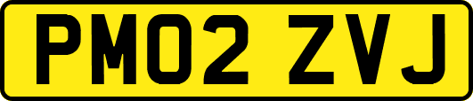 PM02ZVJ