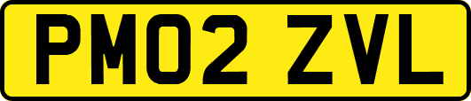 PM02ZVL