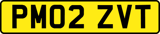 PM02ZVT