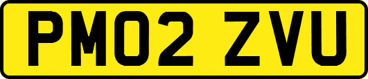 PM02ZVU