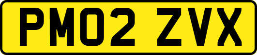 PM02ZVX