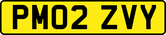 PM02ZVY