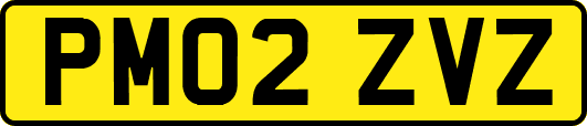 PM02ZVZ