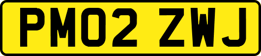 PM02ZWJ