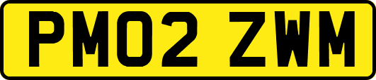 PM02ZWM