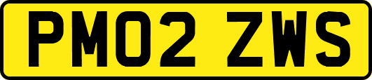PM02ZWS