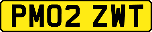 PM02ZWT