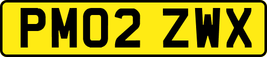 PM02ZWX