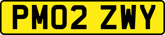 PM02ZWY