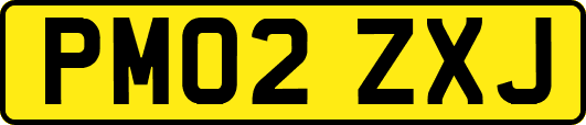 PM02ZXJ