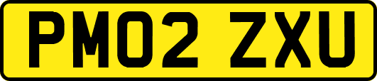 PM02ZXU