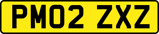 PM02ZXZ