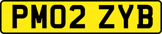 PM02ZYB