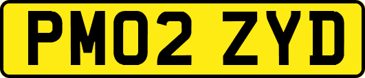 PM02ZYD