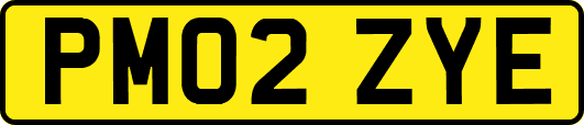 PM02ZYE
