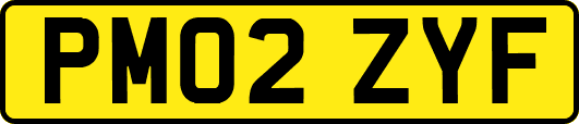 PM02ZYF