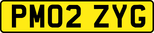 PM02ZYG