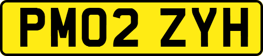 PM02ZYH