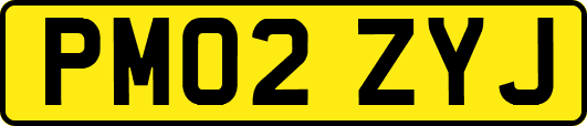 PM02ZYJ