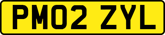 PM02ZYL