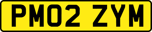 PM02ZYM