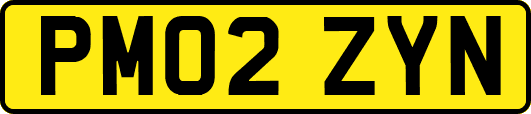 PM02ZYN