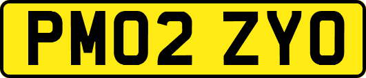 PM02ZYO