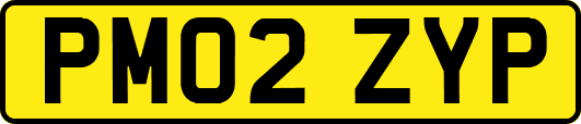 PM02ZYP