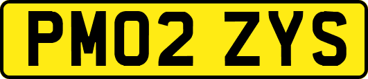 PM02ZYS