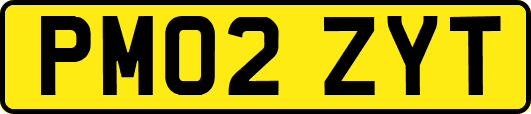 PM02ZYT