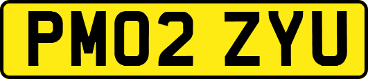 PM02ZYU