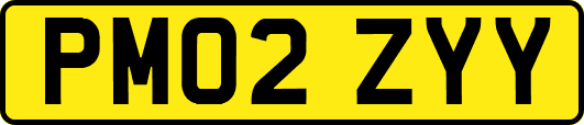 PM02ZYY