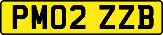PM02ZZB