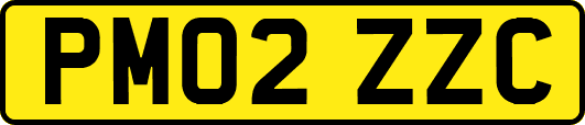 PM02ZZC