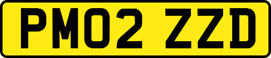PM02ZZD