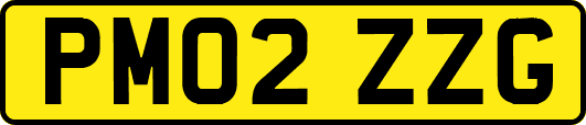 PM02ZZG