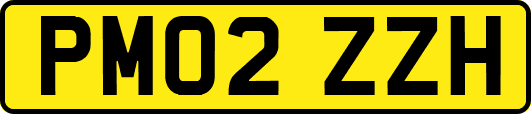 PM02ZZH