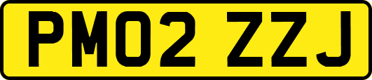 PM02ZZJ