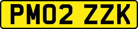PM02ZZK