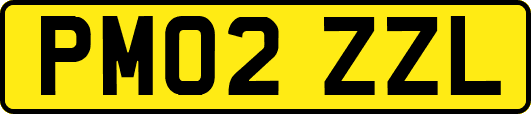 PM02ZZL