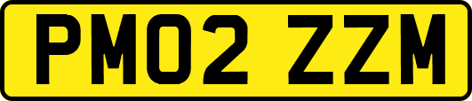 PM02ZZM